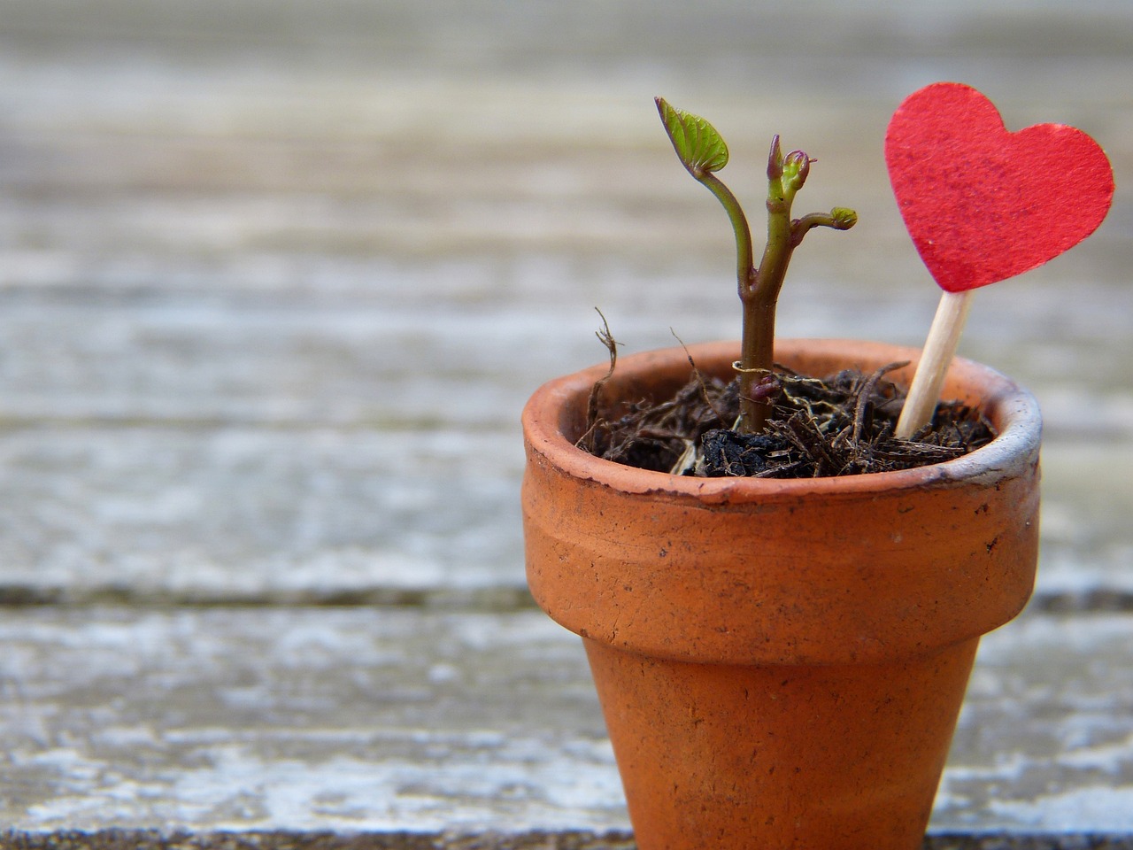 Influence of Confidence on Business Negotiation Skills